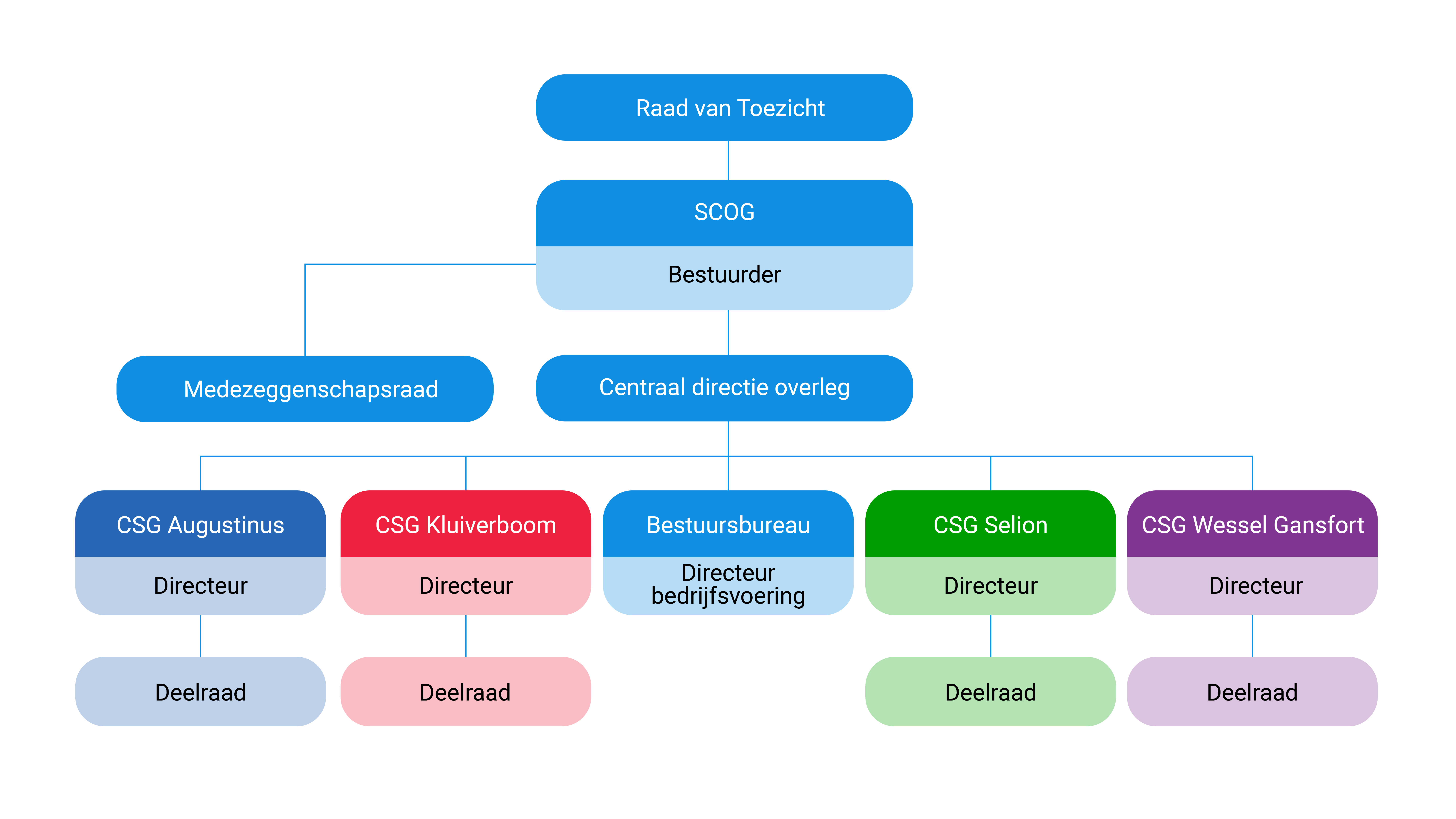 CSG - Organogram